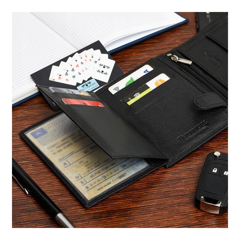 Pánska kožená peňaženka ALASTER