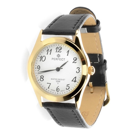 Pánske hodinky s koženým remienkom SAMMY